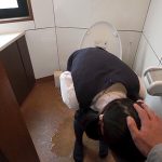 可愛い義理の妹はおむつ娘甘える妹がこっそりおもらし 綿矢好花 h_019acz00131